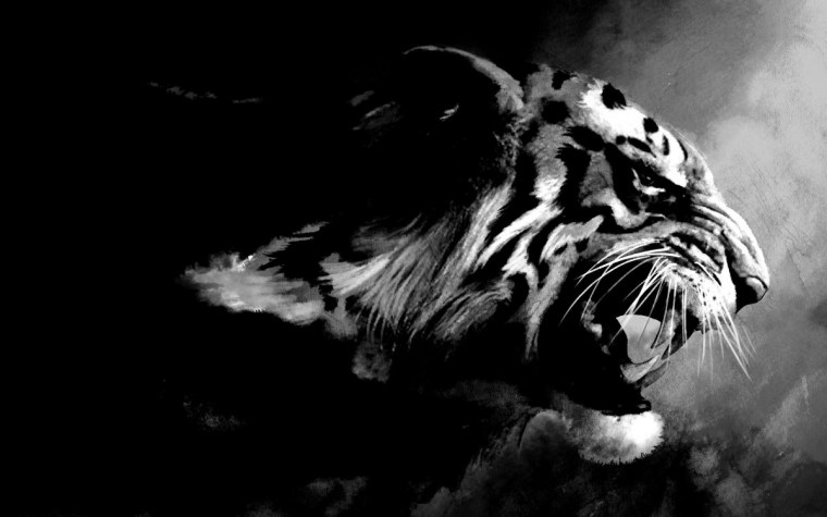 Белый тигр с голубыми глазами