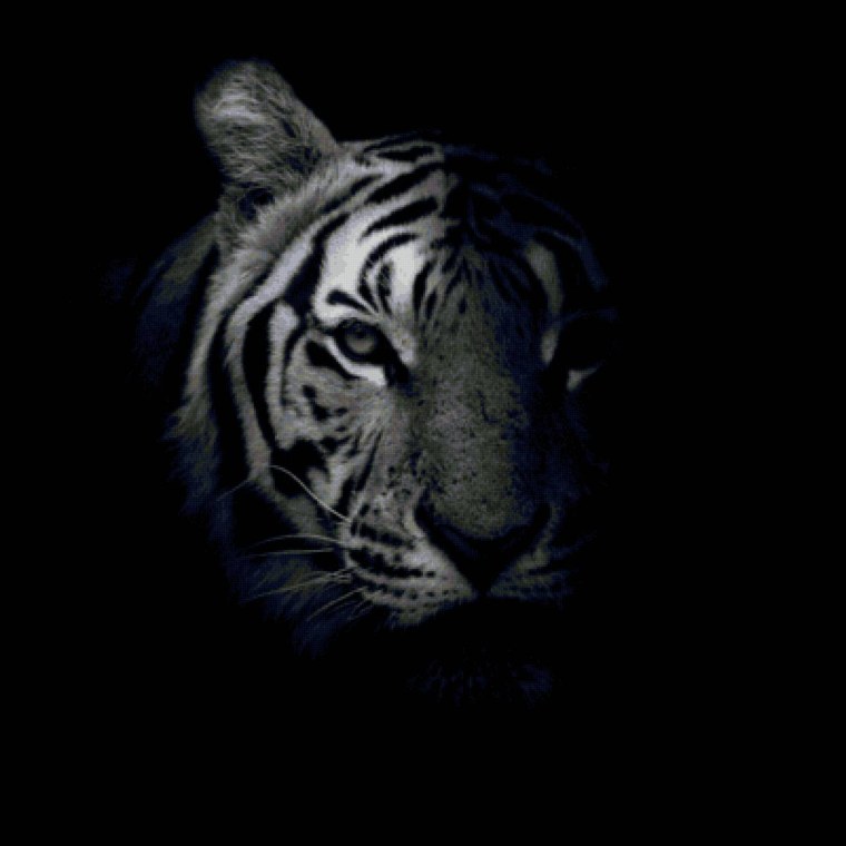 Рисунки на черном фоне