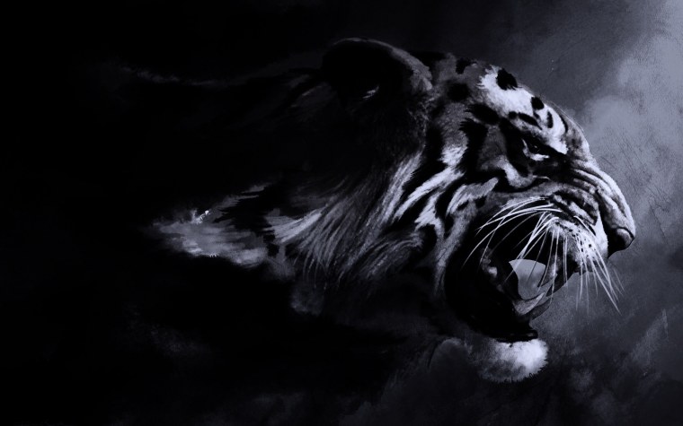 Тигр Минимализм