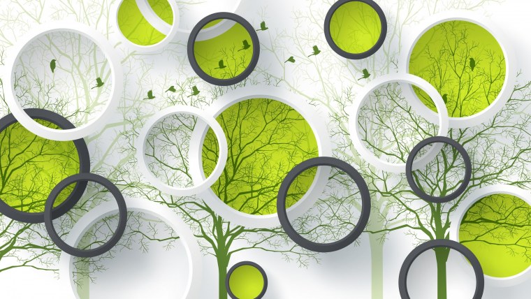 Зеленый круг