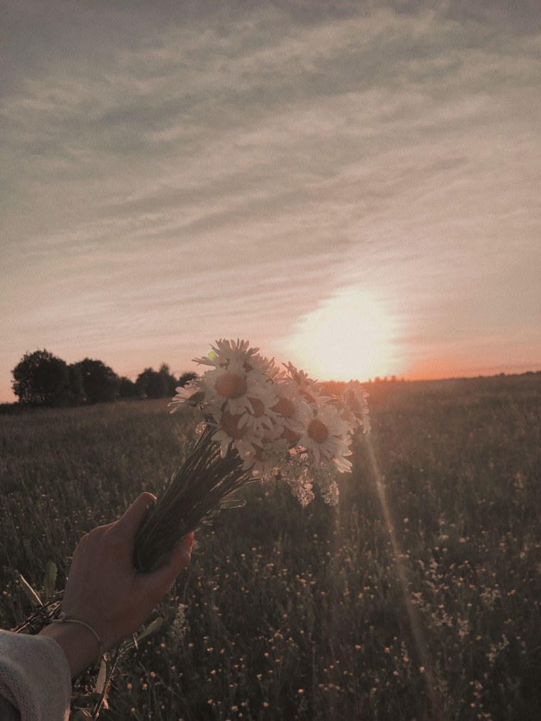 Лето Эстетика