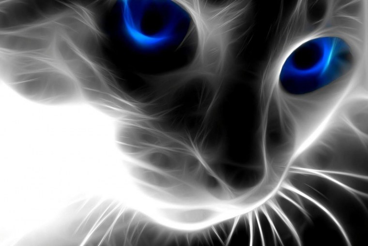 Алмазная мозаика кошачий взгляд