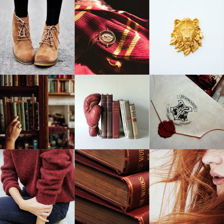 Хогвартс Эстетика Гриффиндора