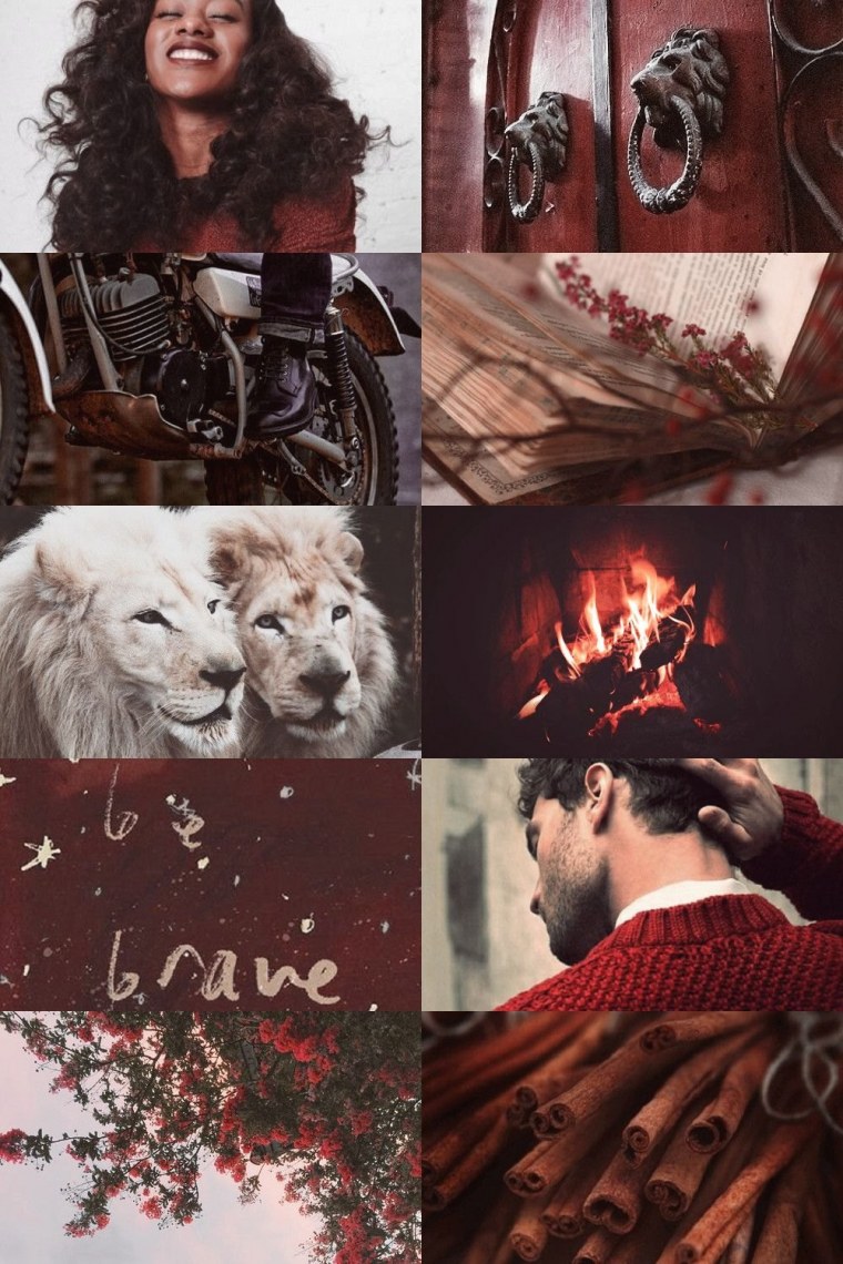 Гриффиндор Эстетика Гарри