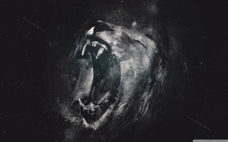 Обои на рабочий стол Лев