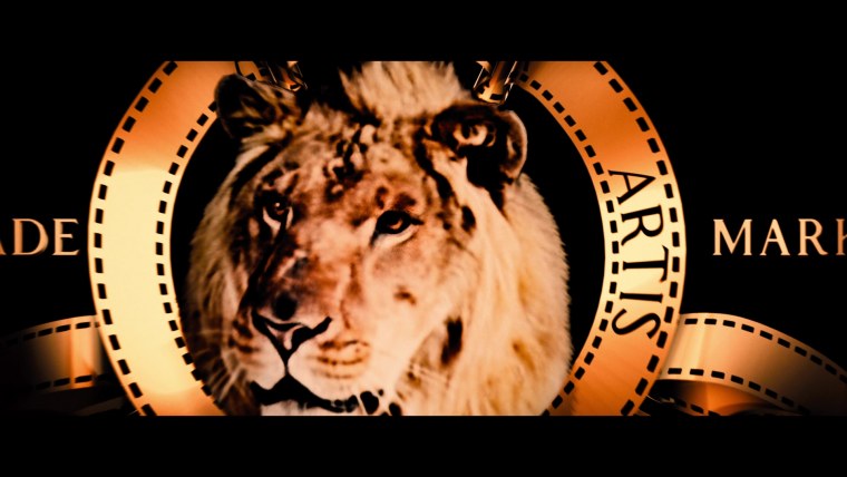 Лев из Metro Goldwyn Mayer