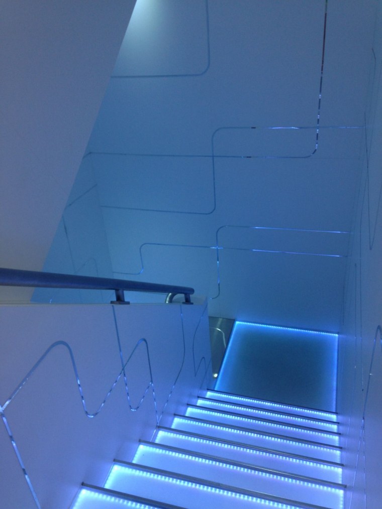 Синие сохры