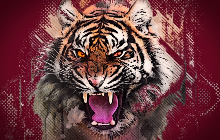 Тигр в ярости