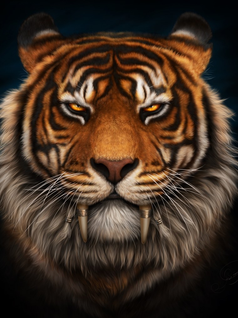 Тигр голова