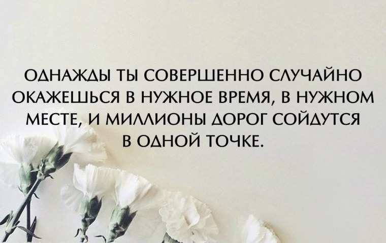 Как жалок Шут на троне короля как глуп народ который то позволил