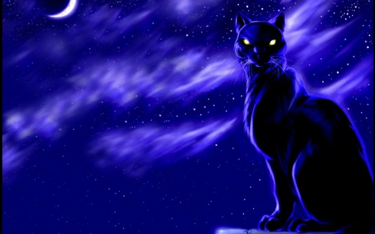 Коты Воители фиолетовая звезда