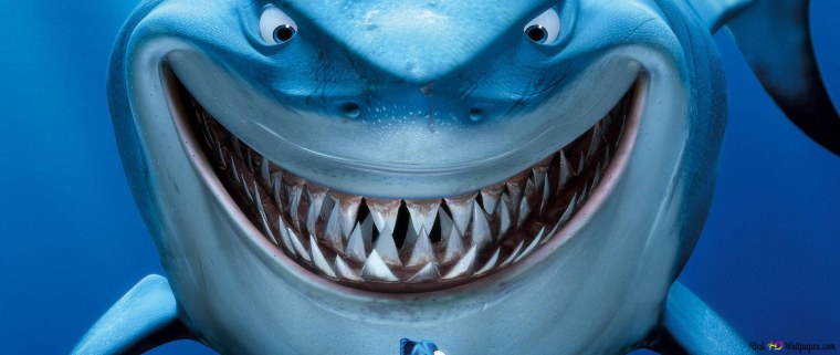 Акула в очках рисунок