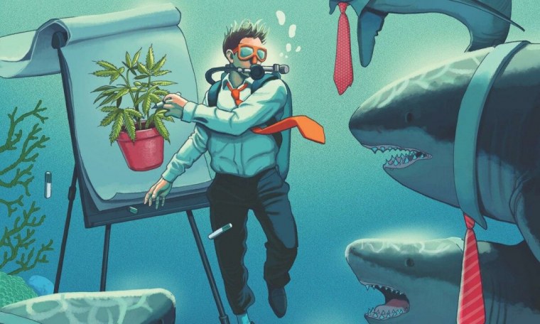 Подводный мир акулы