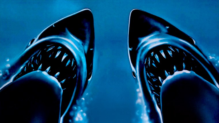 Веселая акула