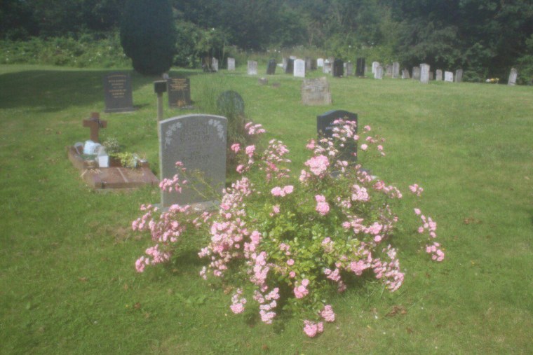 Дримкор Эстетика