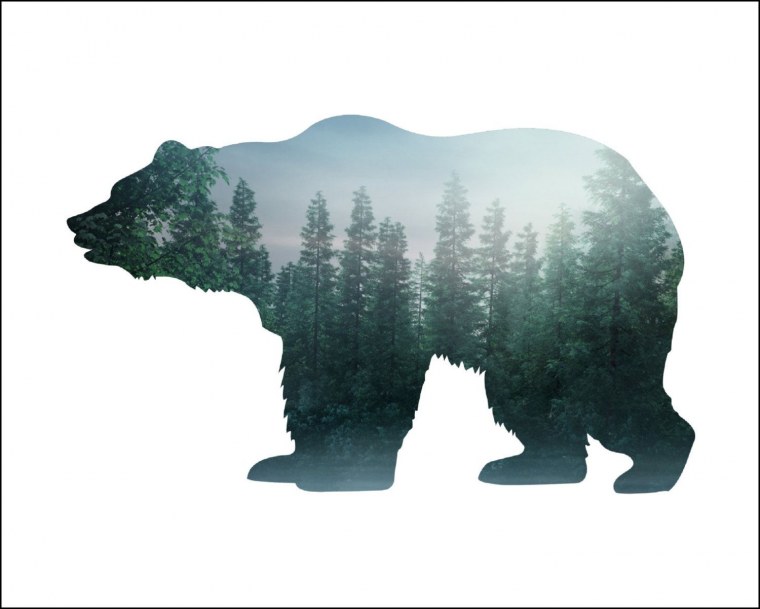Силуэт медведя