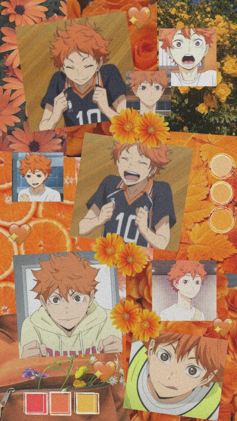 Хината шоё волейбол