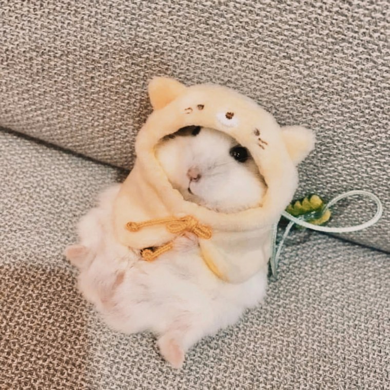 Кира Жоссан