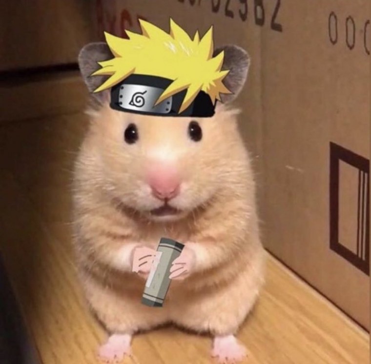 Хомячок арт