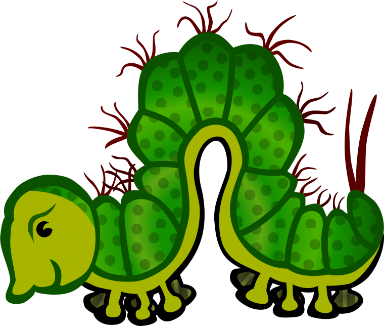 Насекомые на прозрачном фоне