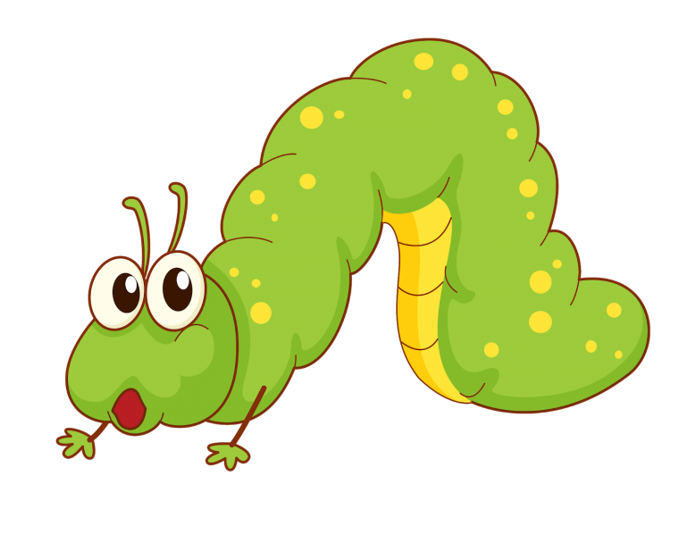 Гусеница на белом фоне