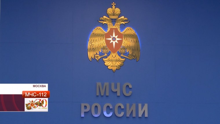 Го и ЧС логотип