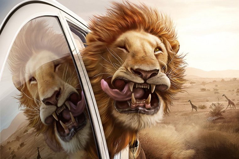 Реклама с изображением животных