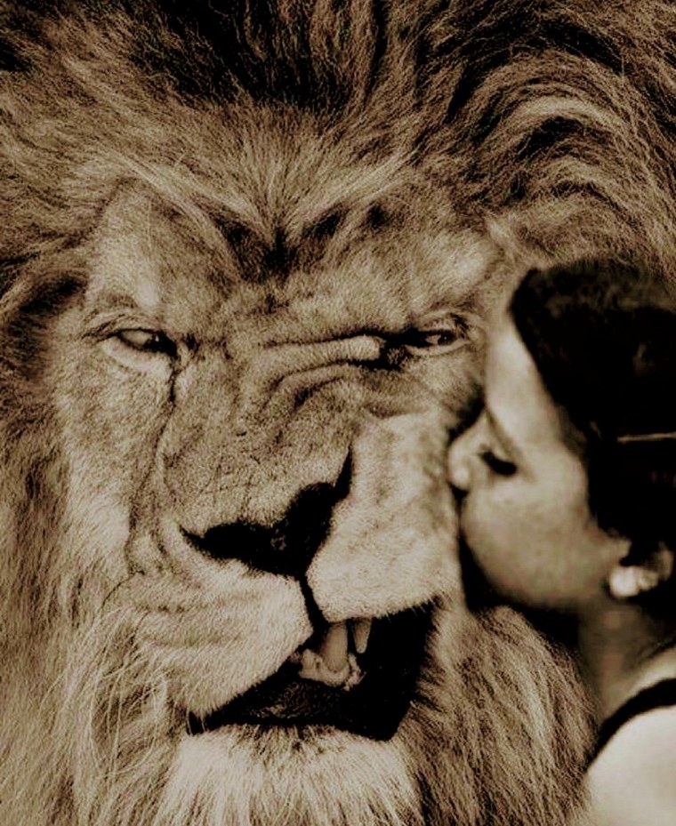 Лев с ухмылкой