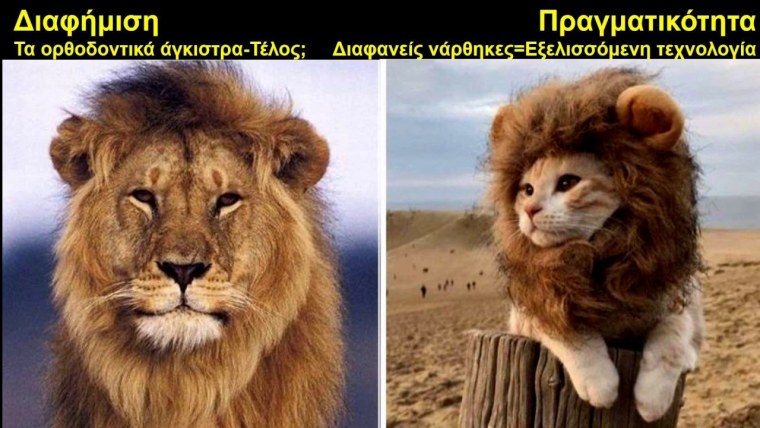 Приколы про Львов