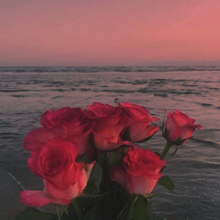 Розы на берегу моря
