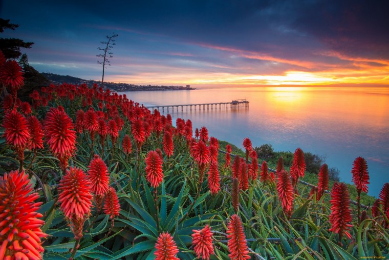 Экзотическая природа