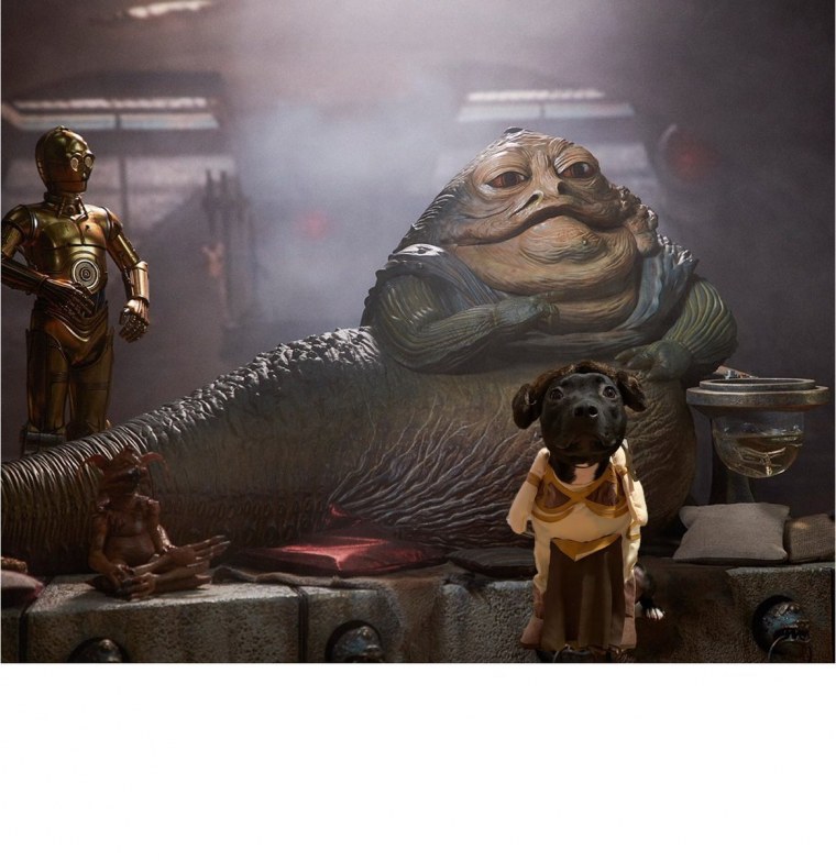 Джаба Звездные войны Джабба