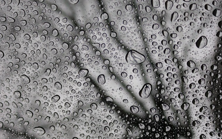 Капля воды на черном фоне