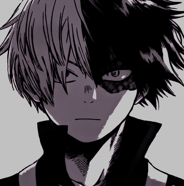 Тодороки чёрно белый