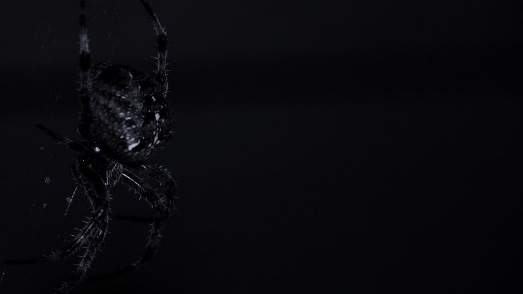 Темная заставка на рабочий стол