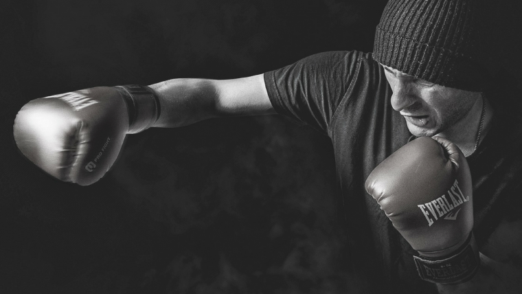 Боксер красивые картинки