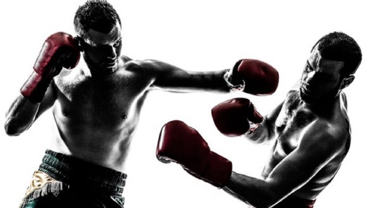 Боксер на белом фоне