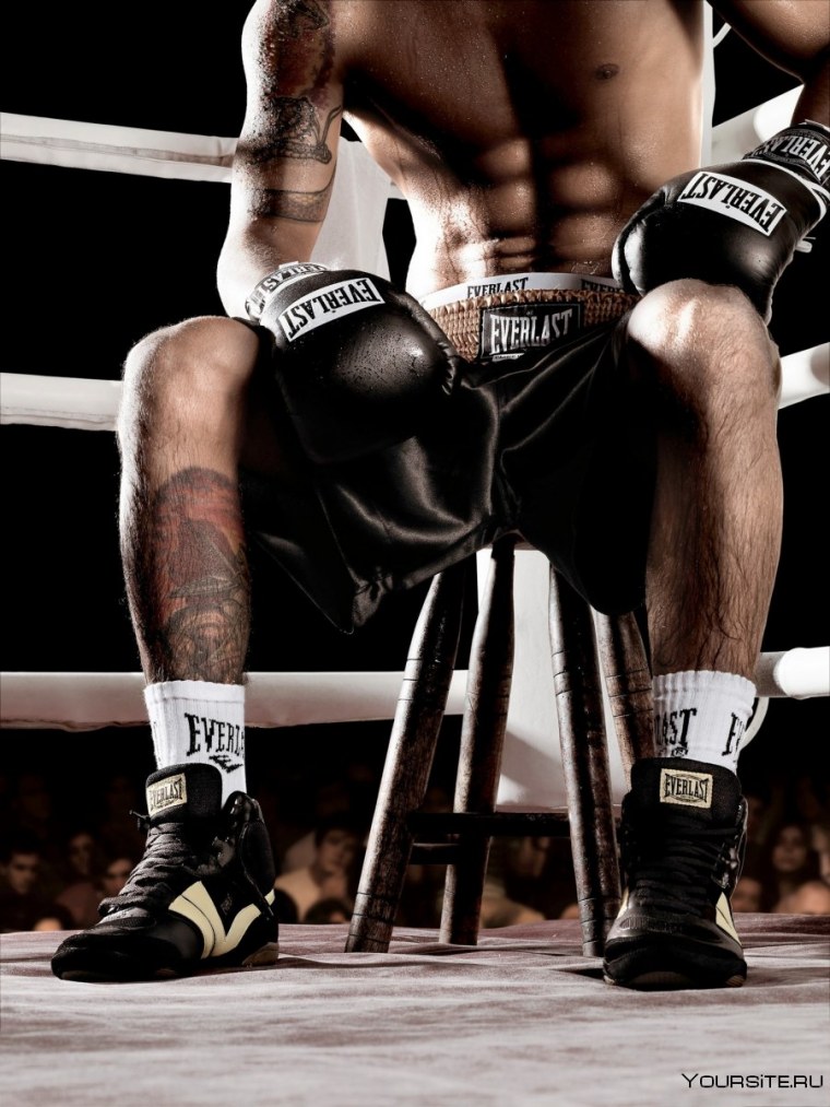 Обои для боксера