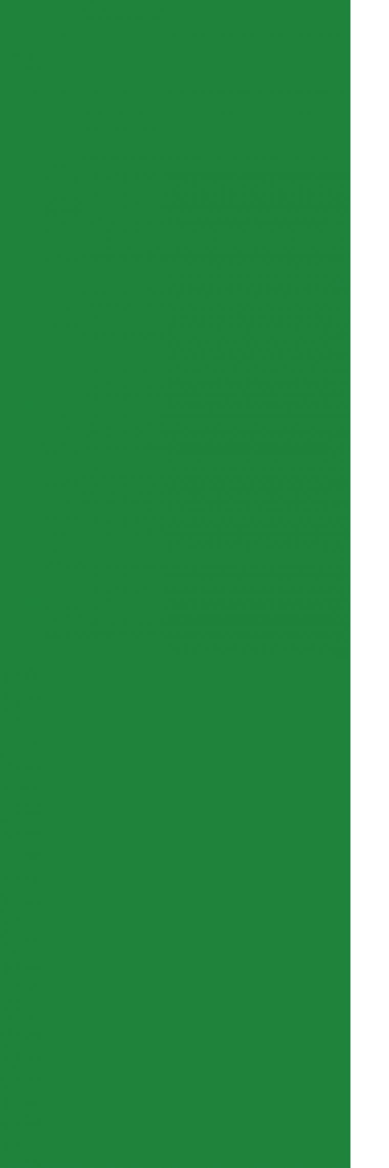 Салатовый прямоугольник