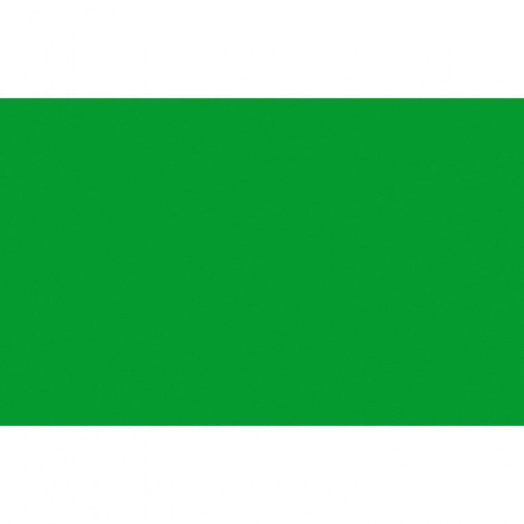 Цветной картон плакатный 380 г/м2 Folia, 48х68 см, 10 л.