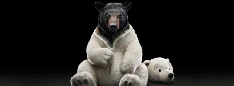 Белый медведь на черном фоне