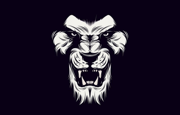 Медведь на закате