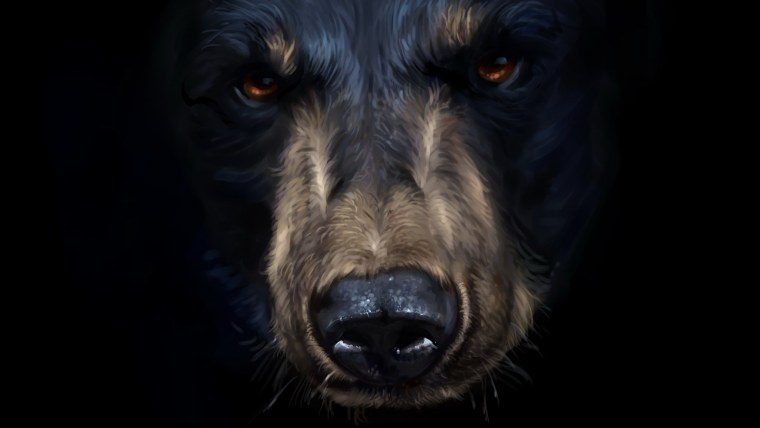 Оскал медведя