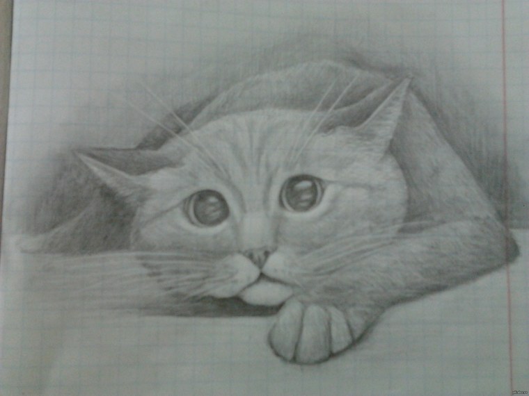 Красивые рисунки в альбом