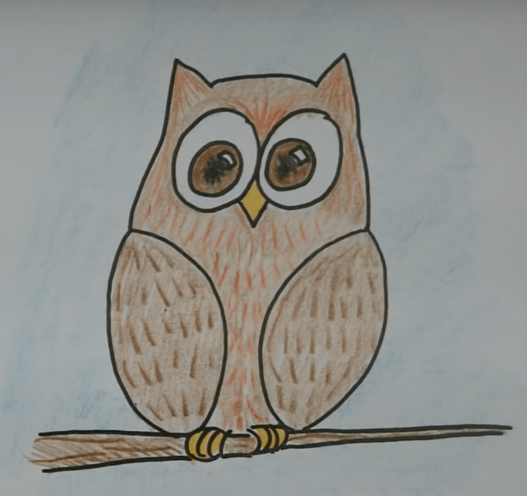 Сова рисунок для срисовки легкие