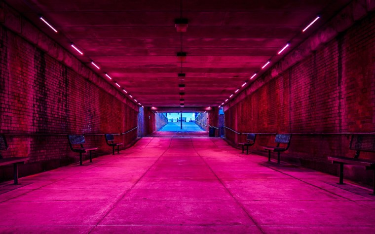 Неоновая кирпичная стена