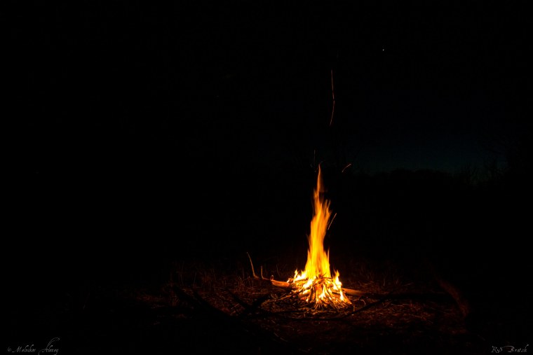 Костёр в лесу ночью