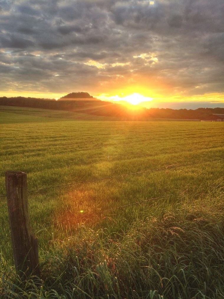 Рассвет в поле