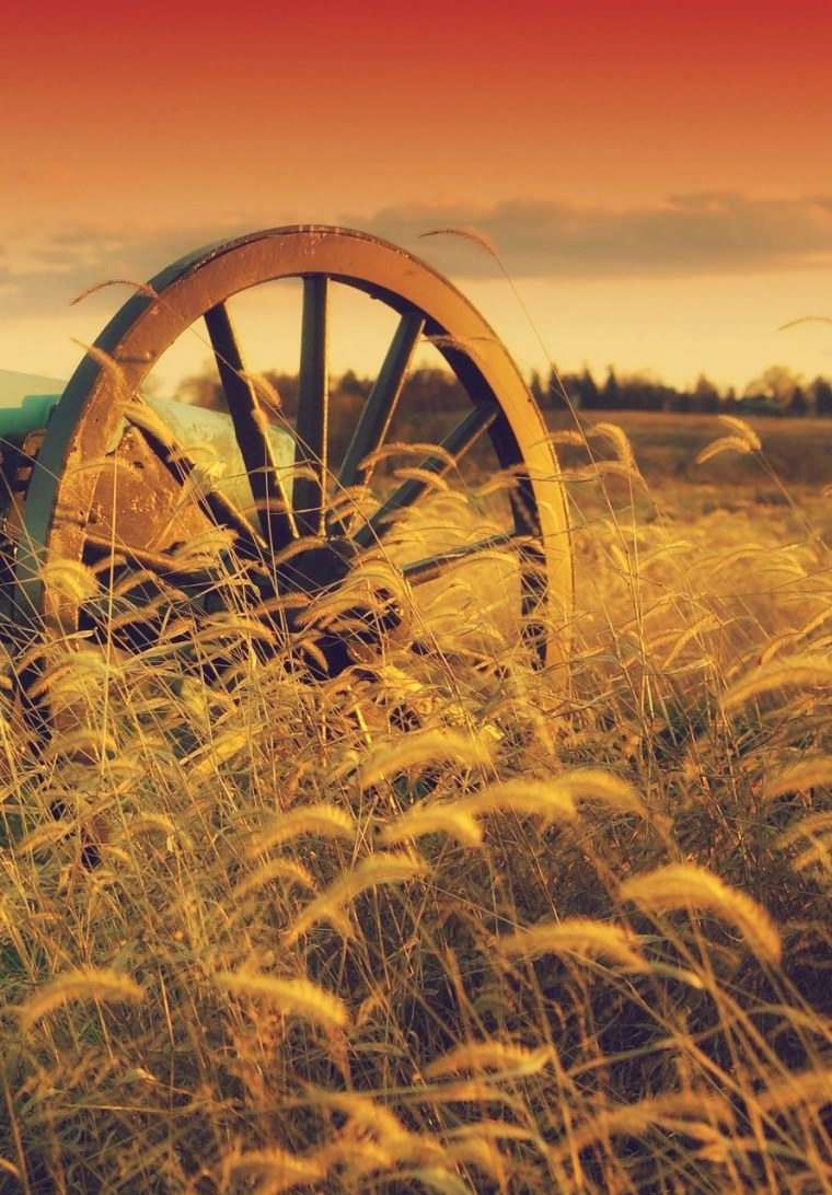 Красивый август