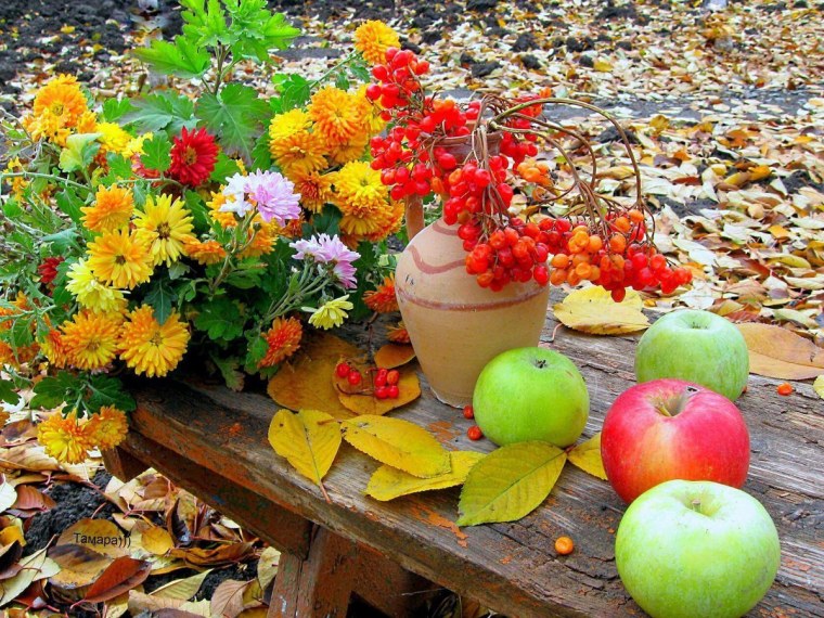 Осенние цвета